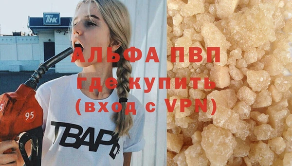 ECSTASY Медвежьегорск