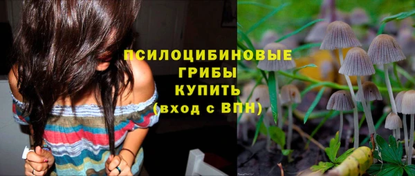 не бодяженный Медногорск