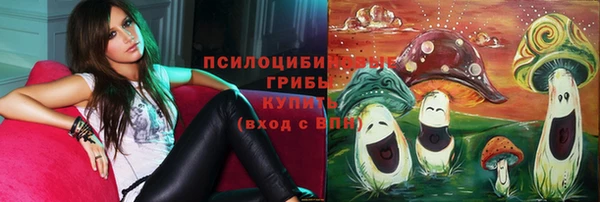 ECSTASY Медвежьегорск