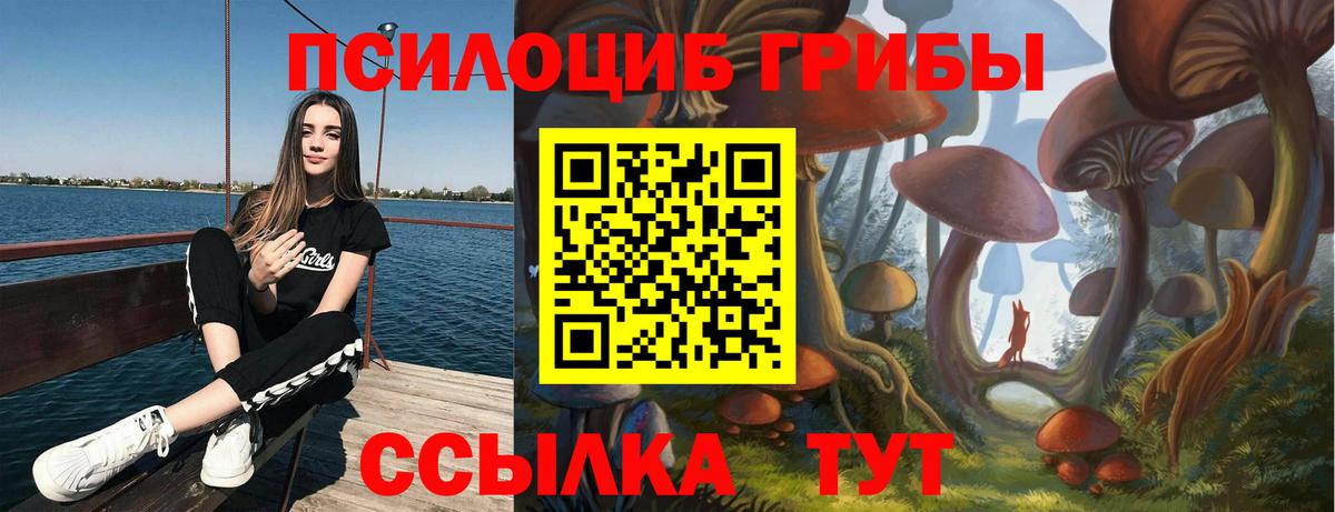 Черкесск  Псилоцибиновые грибы GOLDEN TEACHER  Вход с VPN 